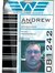 Andrew