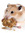 Hamster126