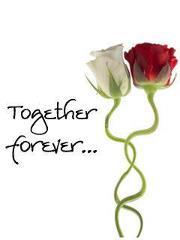 Vineet