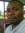 Adekunle