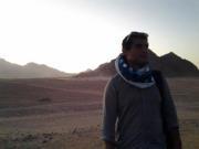 Tarek