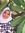 Dody Saad