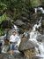 Anand