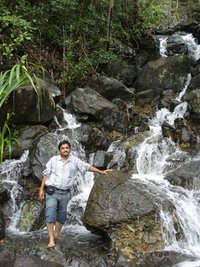 Anand