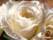 Rajitha