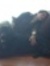 Joana M...