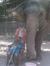 Ashesh
