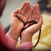Tasnim