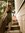 Hannah