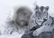Annu