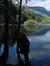 Pollaid...