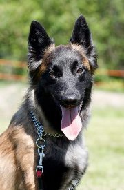 Nina