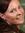 Sylvie ...