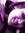 Purva