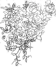 Amiranda