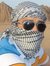 Ahmed
