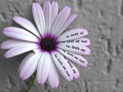 Gokul