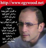 محمد رشاد العربى