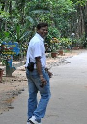 B.ravi