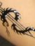 Ankit