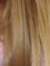 Blondina_balcanica