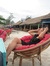 latika mom
