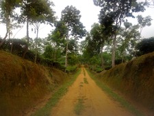 Mocaddus Hossain