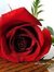 Lubna