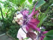Liliana
