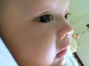 Trinh