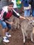 Karan