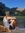 Lycia