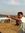 Srikanth R