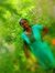 Geetham