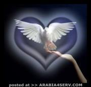 عبدالله محمد