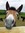 Kate Everts | 11 comments