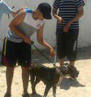 Achref