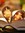 Hira | 4 comments