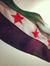 Asmaa A...