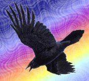 Raven