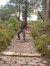 Roshan