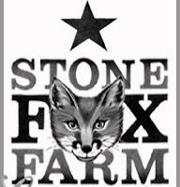 Stone Fox