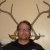 Jason Ellis