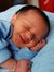 Hafez