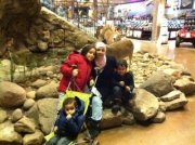 Abeer