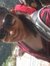 Swati