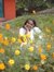 Madhumathi