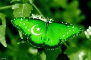 Akbar