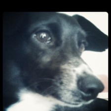 Missy