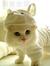 Amna
